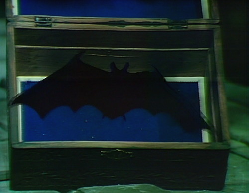 950-dark-shadows-box-bat