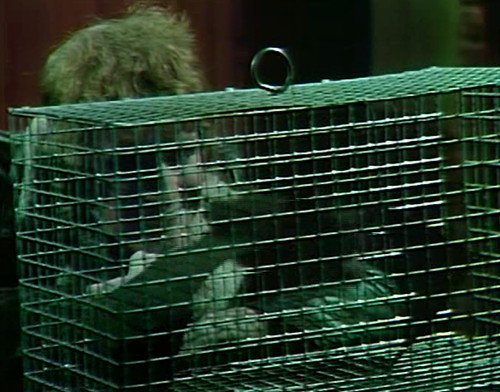 950-dark-shadows-jeb-flappy-bat