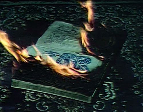 959-dark-shadows-book-burning