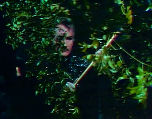 966-dark-shadows-nicholas-hedge