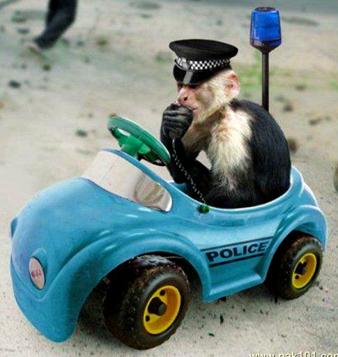 985-monkey-cops